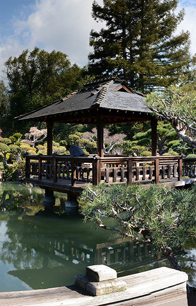 %_tempFileNamePond%20and%20Pagoda_Panorama1fx%