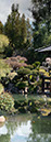 %_tempFileNameJapanese%20Pond%203_Panorama1xfs2%