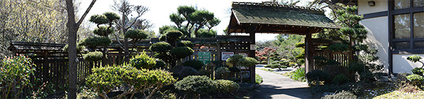 %_tempFileNameHayward%20Japanese%20Garden%20Gate%203-6-2015_Panorama1fs2%