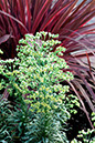 %_tempFileName459xs%20Plants%20in%20Fremont%